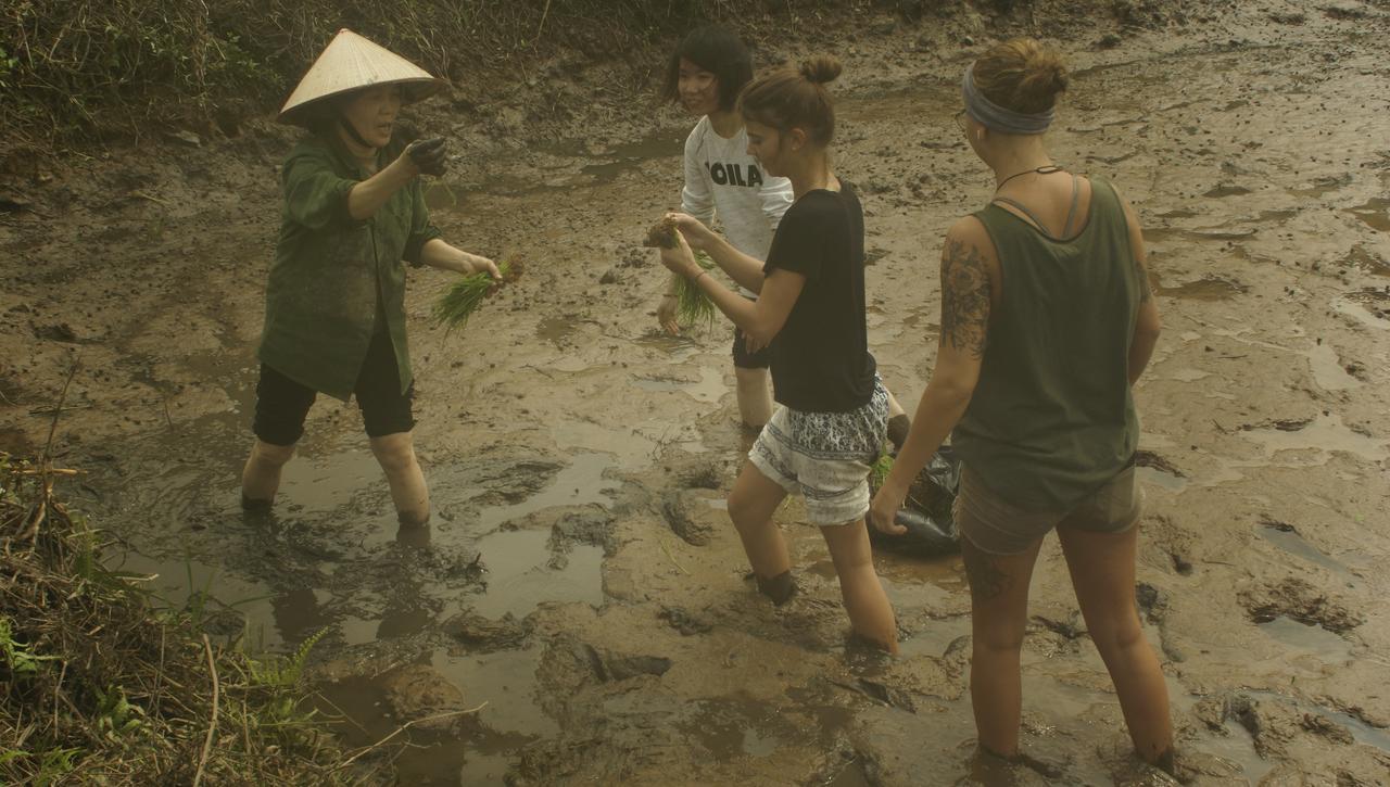 Mai'S Homestay Trang An 닌빈 외부 사진