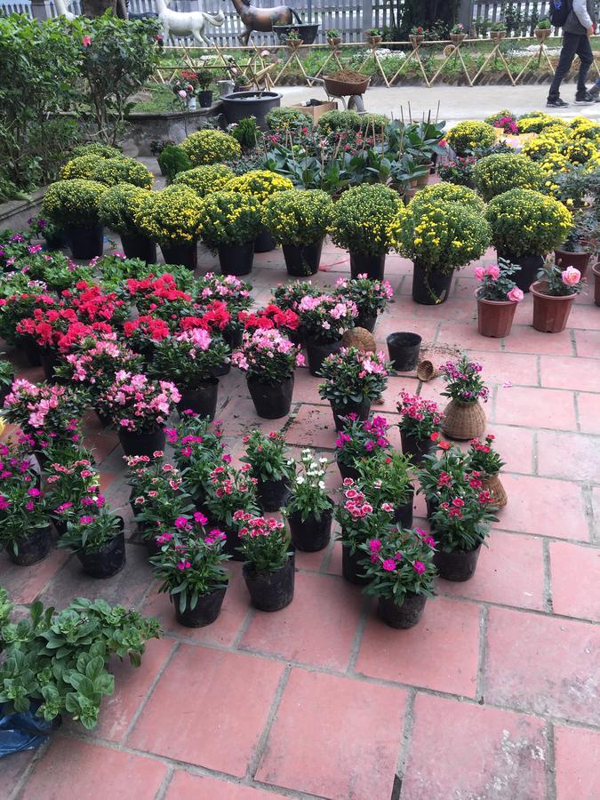 Mai'S Homestay Trang An 닌빈 외부 사진