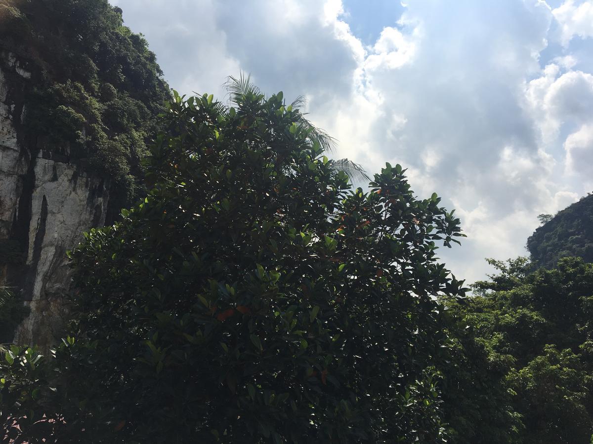 Mai'S Homestay Trang An 닌빈 외부 사진