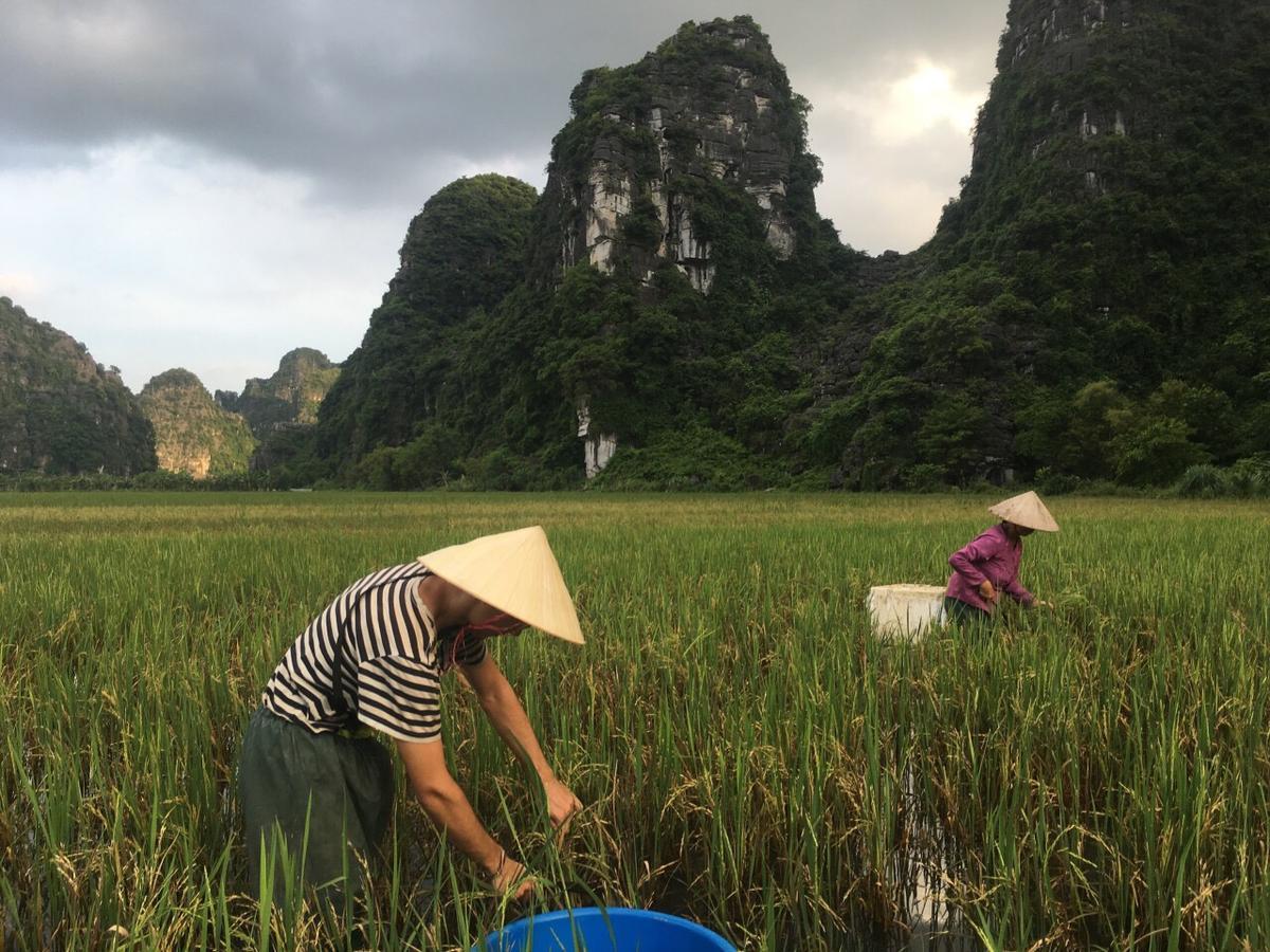 Mai'S Homestay Trang An 닌빈 외부 사진