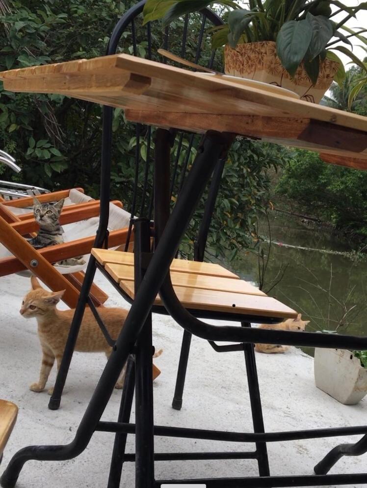 Mai'S Homestay Trang An 닌빈 외부 사진